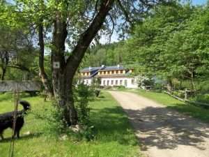 Czerwcowy weekend z jogą